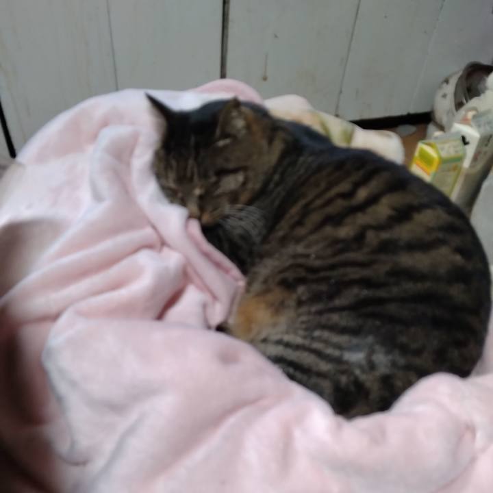 1ba6ee00 a51d 49a1 a1e0 b0c440727885 1674457805776