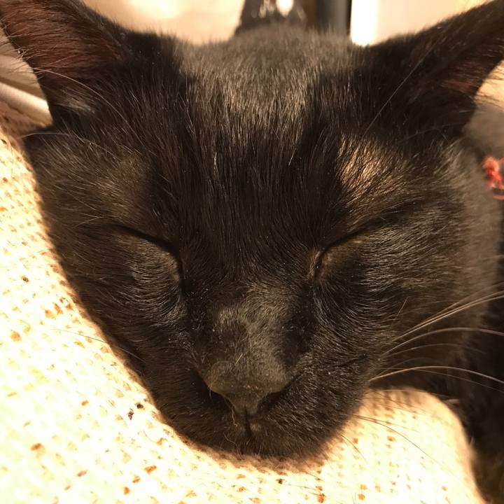 1ba740c0 3b93 4e37 a05a 2fab0a9229d2 1535994790932