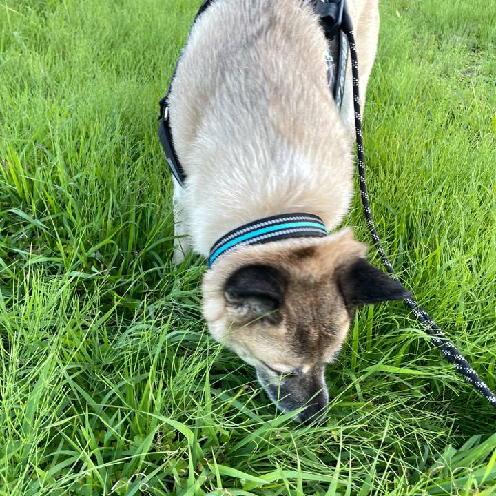 1ba7740f cad7 4b9a 9f80 81f458a76a81 1732191194581