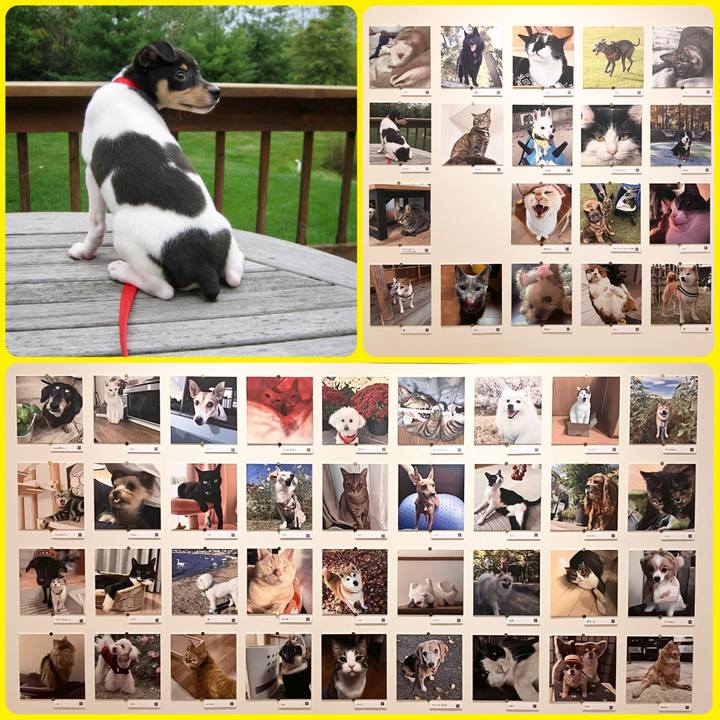 1ba7b743 3262 484d baa9 3201ac201537 1764975668251