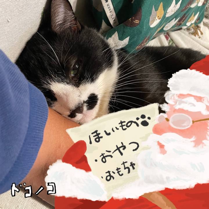 1ba7bec9 09be 4c3b 9bce 2931b778256a 1729057191293