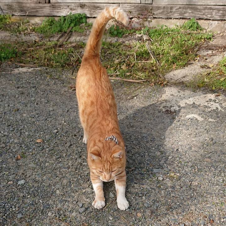 1ba7ce8c bd1b 40f7 9f60 e4f8c2f4635c 1572755596340