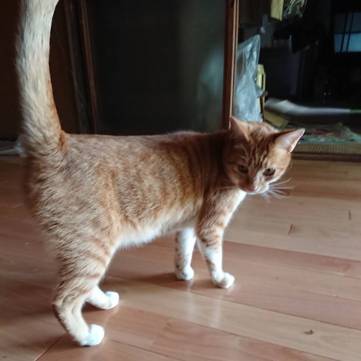 1ba823bf 2a51 4e9a b245 dda254743bfb 1599376225934