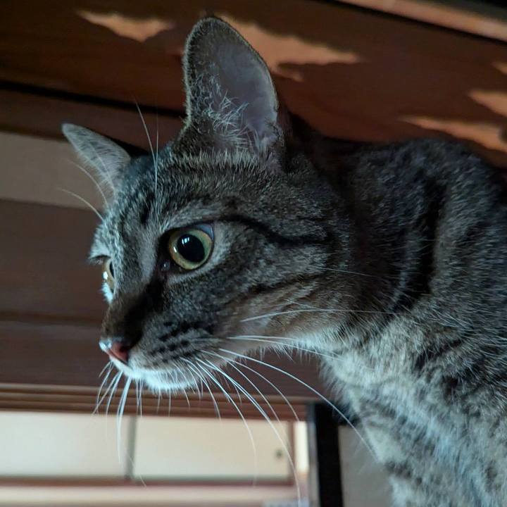 1ba85c51 8497 4459 9f9a dd9ef94adf90 1725359975913