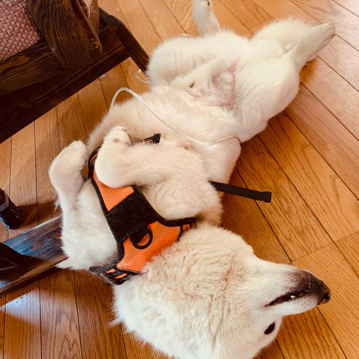 1ba8665c 98bc 4dd7 8020 b2af55547ce8 1619212536819