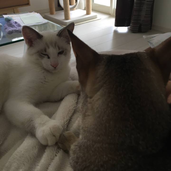 1ba87e2f 12f3 479a 8582 1a93ee342be7 1509275885582