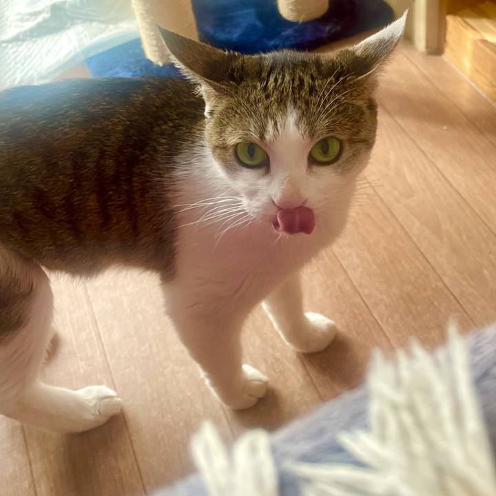 1ba8afdf 372f 49a1 a061 6dee9c4c136a 1633649860467