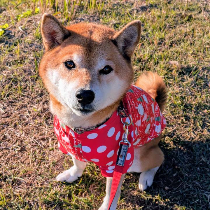 1ba8caad 2414 46d3 9c0d 31a8c67ac111 1732960168295