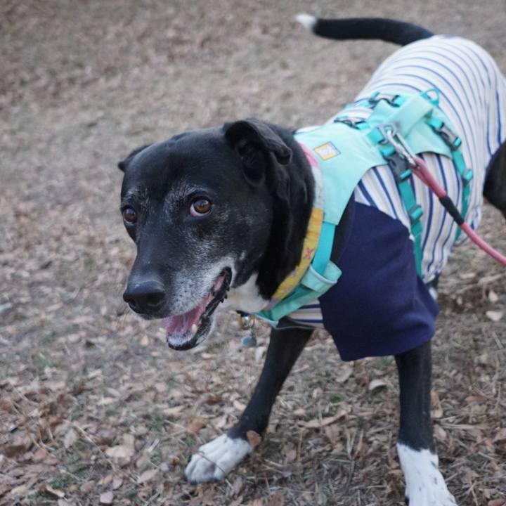 1ba8ce6e 2f3c 4c36 a518 ba804ad601e9 1769731801074