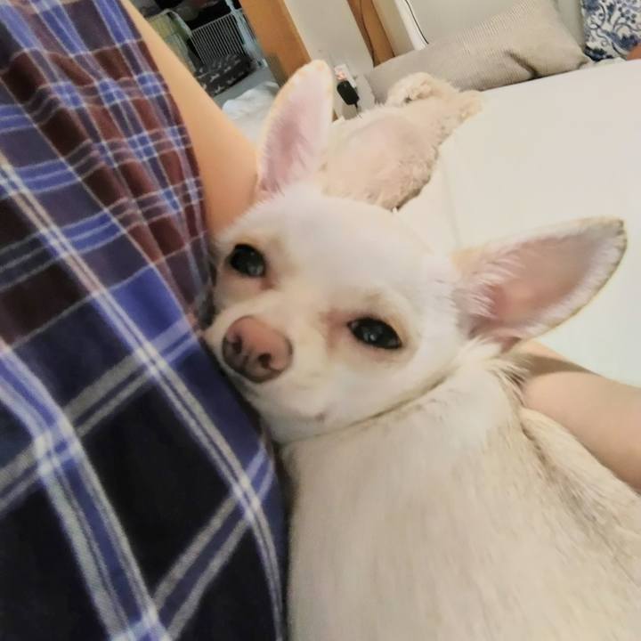 1ba8cee8 878d 4ee3 bde1 c9ddcc15271d 1720945721125