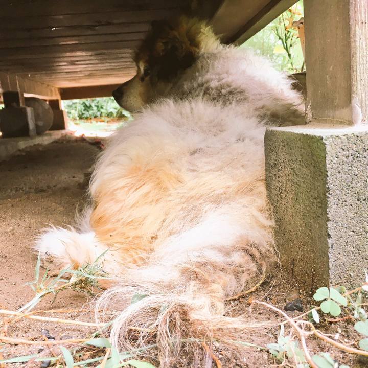 1ba8d119 db3d 4cbd 8376 fa3bbcf9aeff 1662099277786