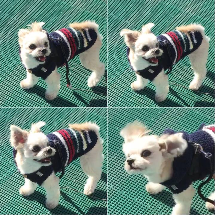 1ba8dea7 de24 4970 b687 5ddd2656d6d3 1545724637023