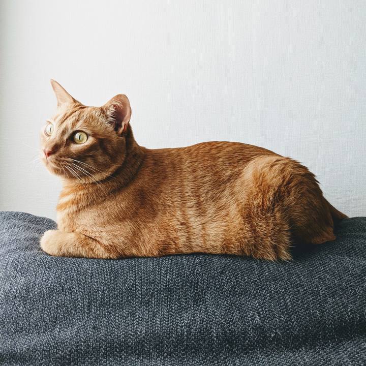 1ba905d9 fd58 4a0d a0e1 23bb288199d9 1650752932616