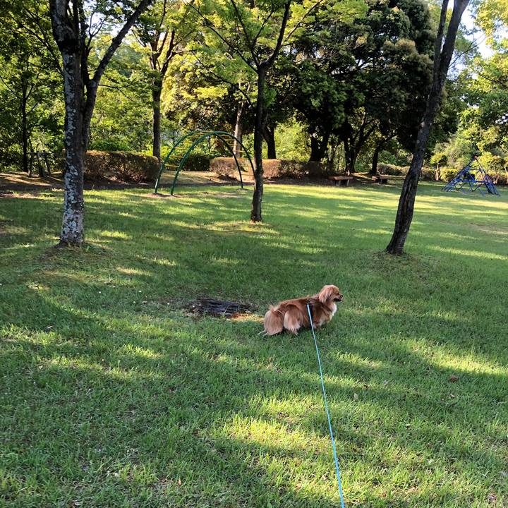 1ba967bc b5bd 462b b080 0dc8ebe46c24 1558739879798