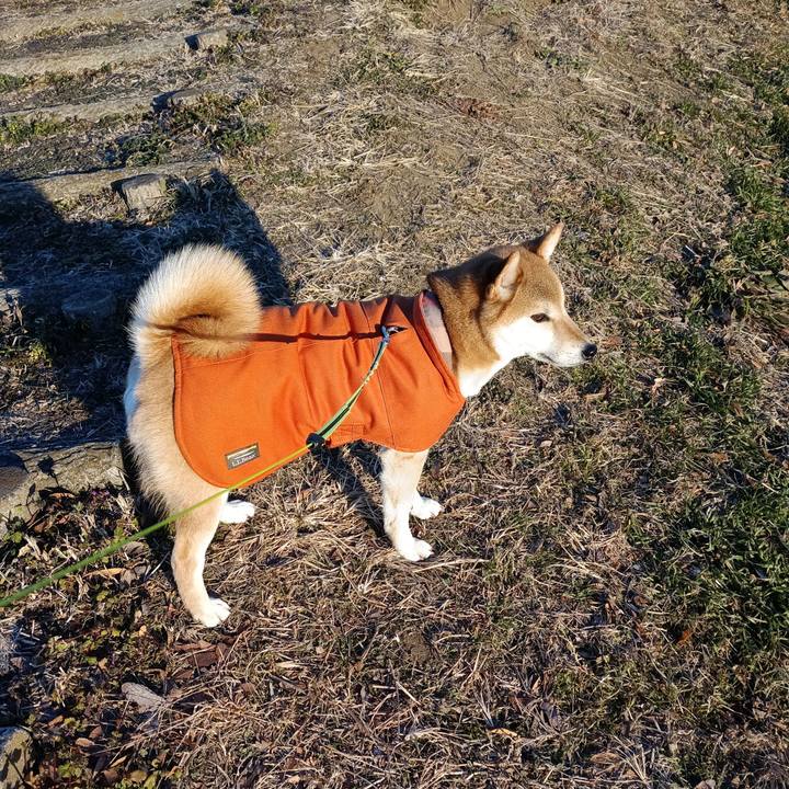 1ba993cf 889e 4dea 8439 0fd4a75a448b 1767912978620