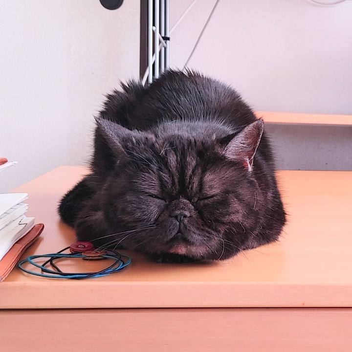 1ba99b06 5250 4074 becf 1bf326380f9c 1647659191786