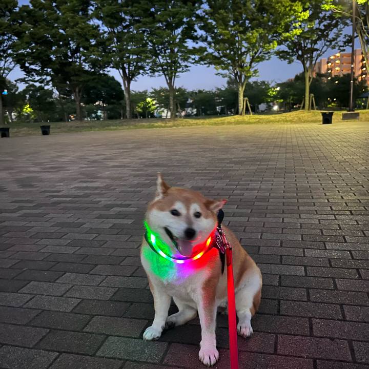 1ba9a66a 07a3 4c19 9fc3 a2fd5f7b7c57 1690195931838