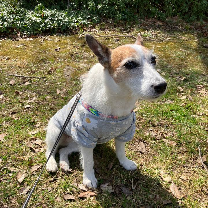 1ba9d75c 7dc7 468e 8e45 885dea85864d 1678836825869