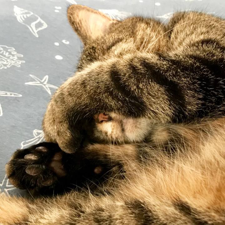 1baa14b9 9328 438c 81b0 6b1a0d718775 1531808369626