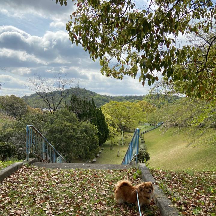 1baa21ee 9367 4615 bb6e d72500739d93 1587602920652