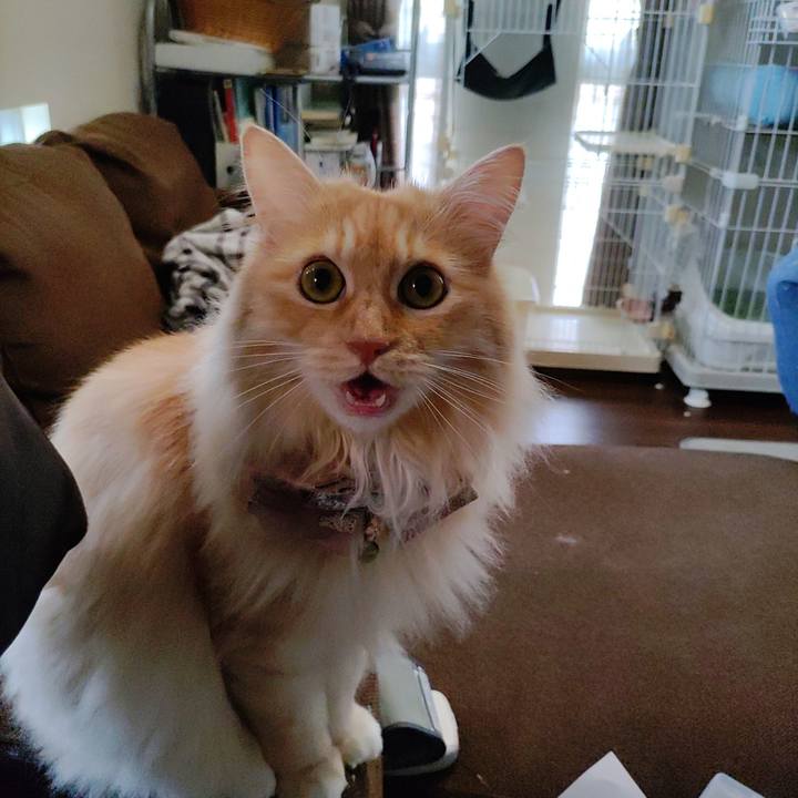 1baa5a6a 5874 49cf 8dfc 1c604fb7a0f9 1720588390367