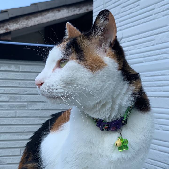 1baaa15d ebe2 4030 9c06 a886096887eb 1560126840907