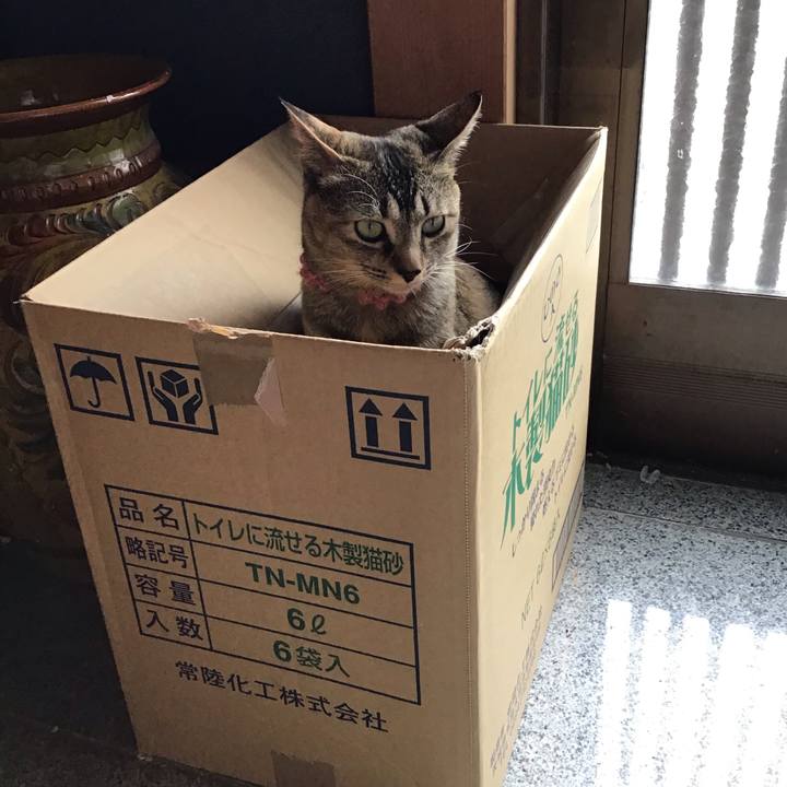 1baab030 4816 4999 8fb6 c7506300e54d 1588667214307