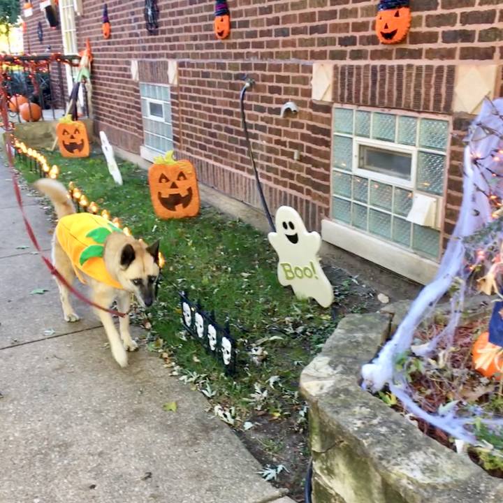 1baac2b0 c26d 4cb6 ace3 200fd9e66a18 1540676613855