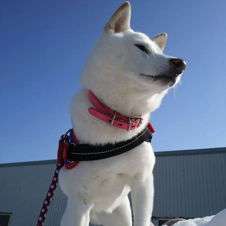 1baae84a 6bd6 41f1 8037 ec6f409b3172 1611544881102