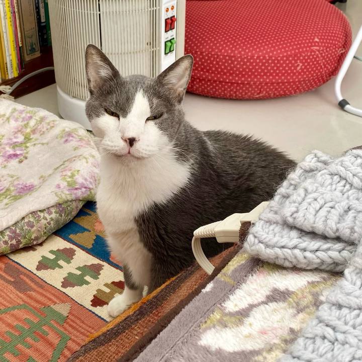 1bab0301 c76a 4ac5 9ede cda91c8c53b2 1767154083732