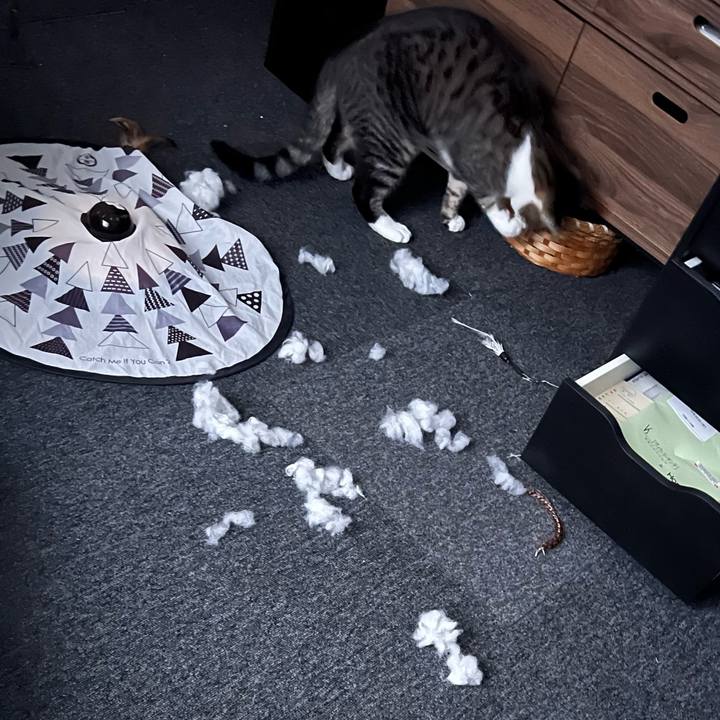 1bab161b a549 4fc9 9e83 85bb5819ddc5 1760780610133