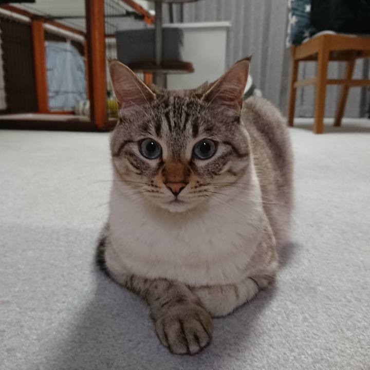 1bab1b7a d8a5 47d4 88ab 796209b5632c 1561461223804