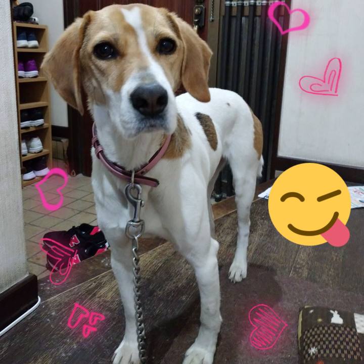 1bab1c10 57a4 4d57 972a f742b0c06f6a 1583843124668