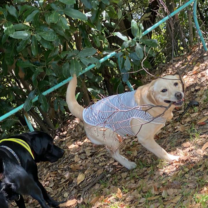 1bab1f2f 0f16 4075 aa19 856c0c5c7c00 1619390623638