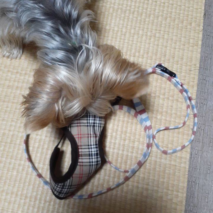 1bab33cc 8eca 4487 9b57 76dd4553ef10 1569791010130