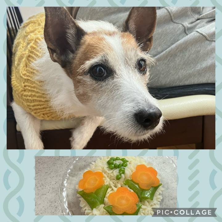 1bab5da7 d974 44f0 aeaa f7ef49733f1e 1672616432931