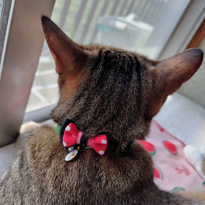 1bab9af7 f9c1 456c b290 f0bac14aa534 1684712319409