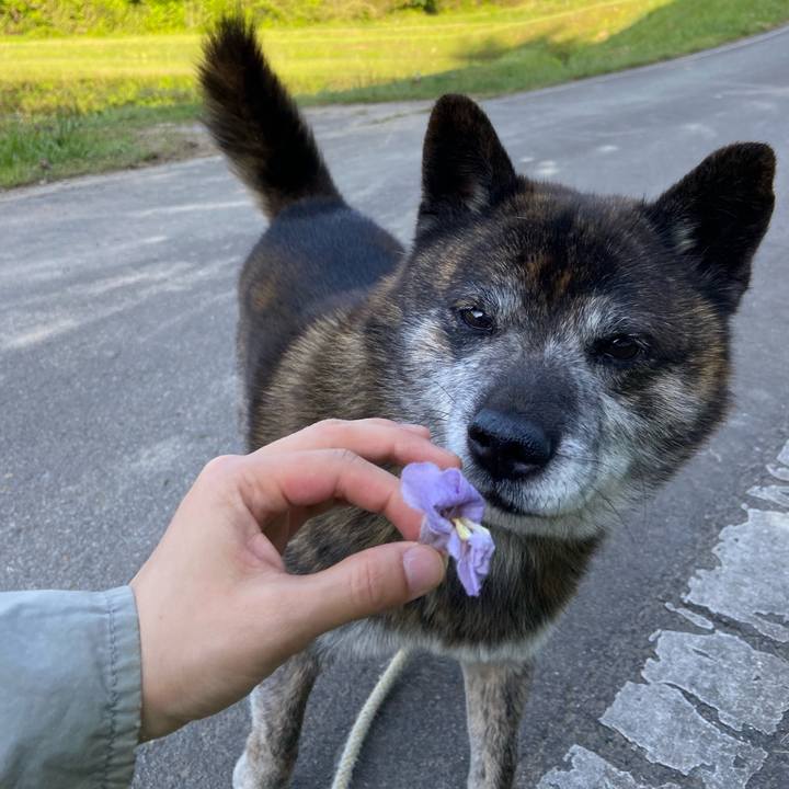 1baba071 c49e 4b2e aa9c 441db30b0fa5 1652697012784