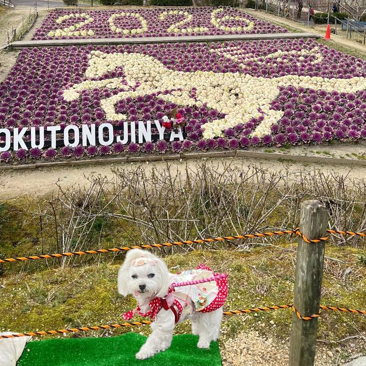 1babbb86 e21f 4e88 a20c 3ee119892f8f 1772846564058