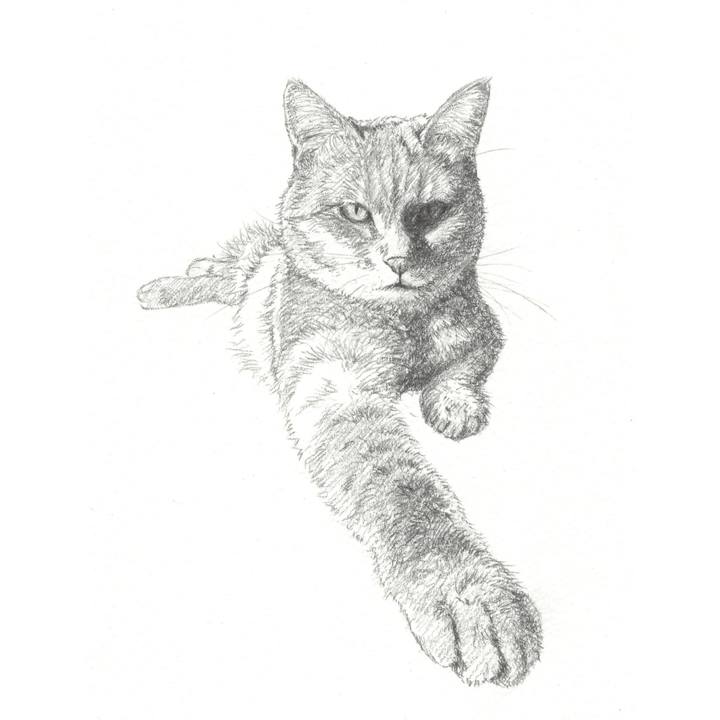 1babd2cf 37f7 4a12 93a1 61aba244c0ec 1553869589316