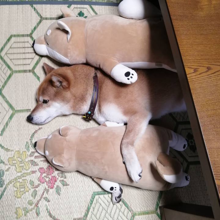 1babdf9a da9e 4440 8de2 3d5cbd02853c 1623581710440