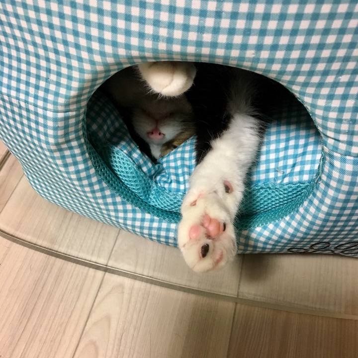 1bac06ce 7052 4411 99e2 89199860c105 1520767150634