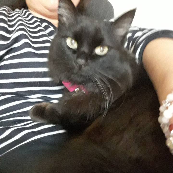 1bac389b 68f4 414e b037 c4bb4bde8071 1516886906206