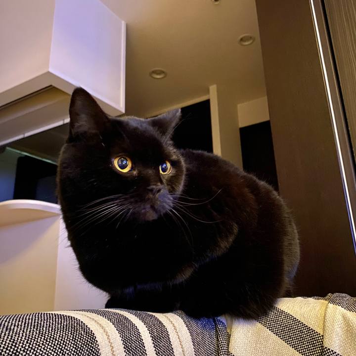 1bac44bb 064d 47e3 9316 4e248ffb5cc7 1767355246073