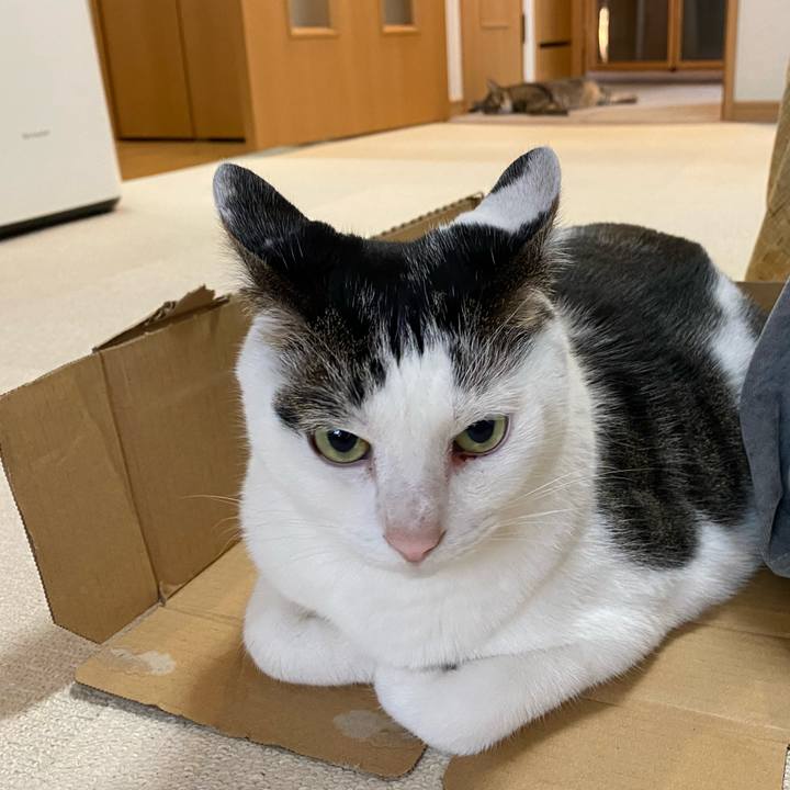 1bac7366 00b8 4729 89b2 8c2651496068 1763866982698