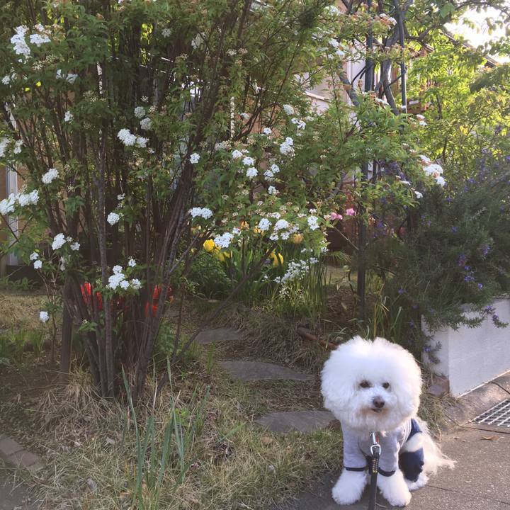 1bac7bf0 ff73 4fac 9e30 e6d4df5dc9b7 1587509442077