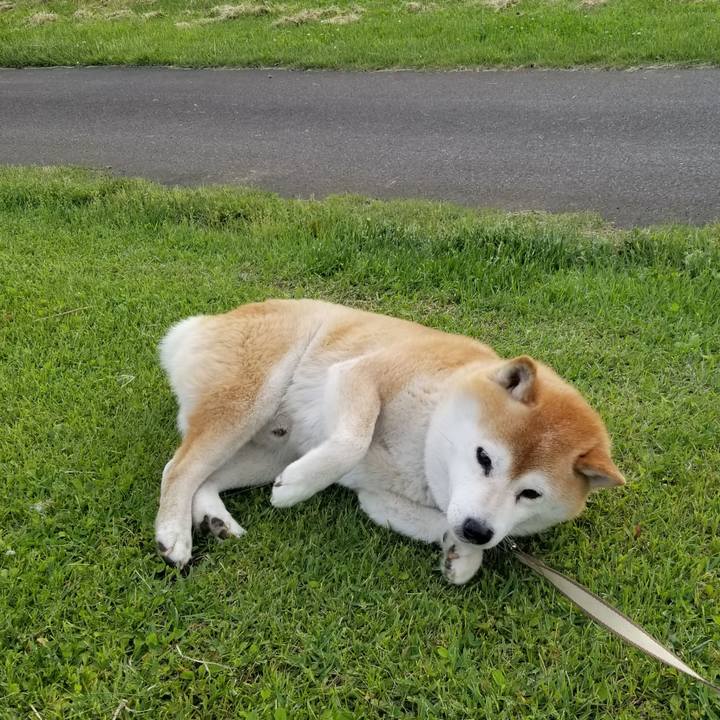 1bacaa96 ca5f 4ddf 92f5 1466a7483cf1 1654072524282