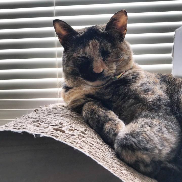 1bacbe6a fd99 44cc a6b2 dd56a42a23a0 1522826230505