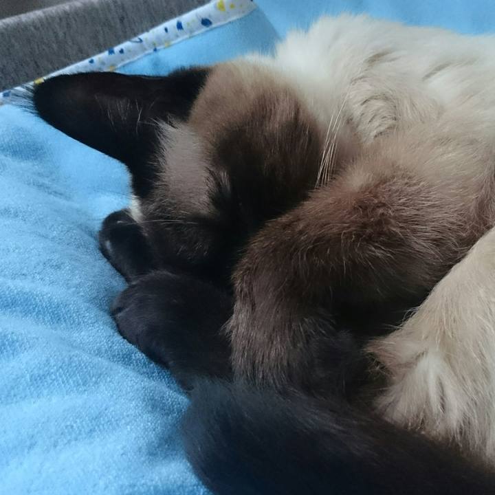 1bacd205 a3f7 4742 8191 1974ef5023a3 1530867411417