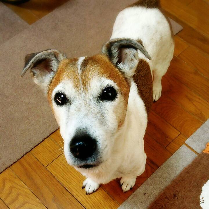 1bad10e6 6d3d 4199 903d ca98136089d4 1518336266318